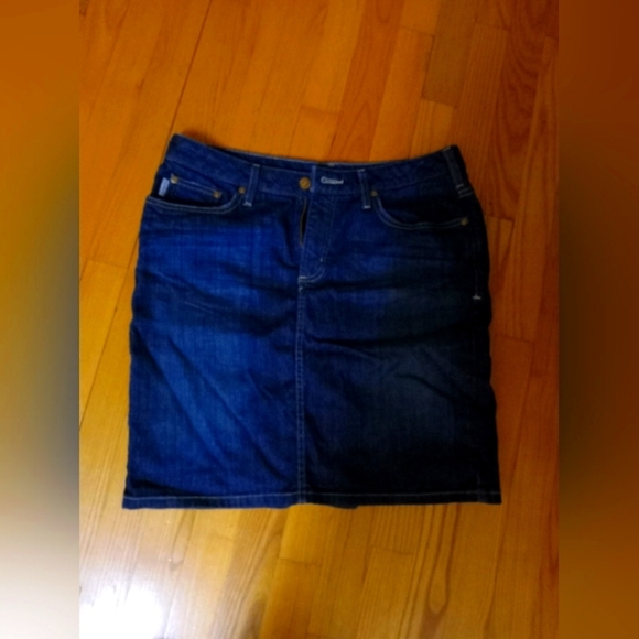 Carhartt Denim Skirt - Picture 1 of 2